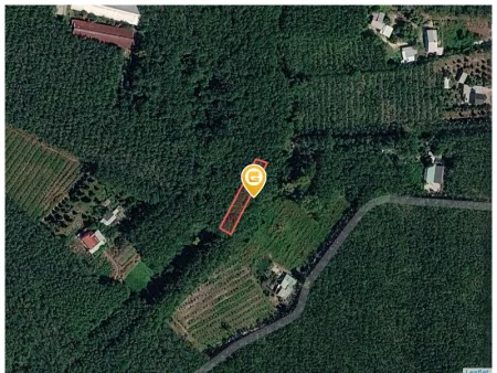 Bán đất 841.2m² ngang 11,2m giá 580 triệu tại Xã Bàu Bàng
