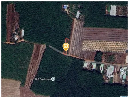 Bán đất 552.5m² có sẵn 100m² thổ cư ngang 10m tại Xã Trừ Văn Thố