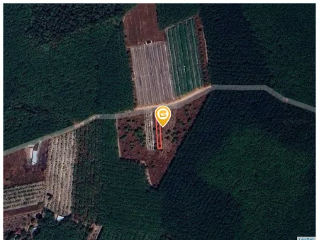 Bán đất 277.1m² có sẵn 100m² thổ cư ngang 5m giá 730 triệu tại Xã Trừ Văn Thố