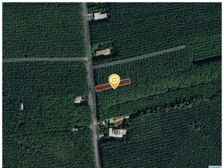 Bán đất 724.5m² có sẵn 100m² thổ cư ngang 10m giá 1.37 tỷ tại Xã Bàu Bàng