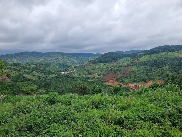 Lô đất 1000m Phi Tô - Lâm Hà - Lâm Đồng🏠🌲có 100m đất thổ cư- Giá 1 tỷ giá rê cần bán gấp
