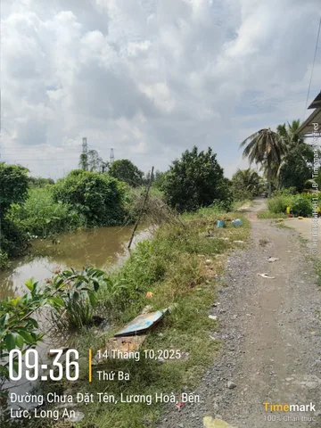 Bán nhà 192.5m² full thổ cư ngang 6.15m giá 1.5 tỷ tại Xã Lương Hòa