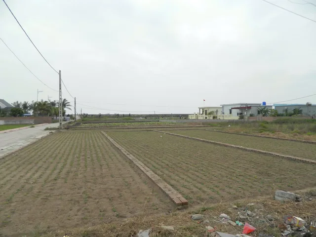 Bán đất thổ cư mặt biển Hải Thịnh, vị trí kim cương, full thổ cư