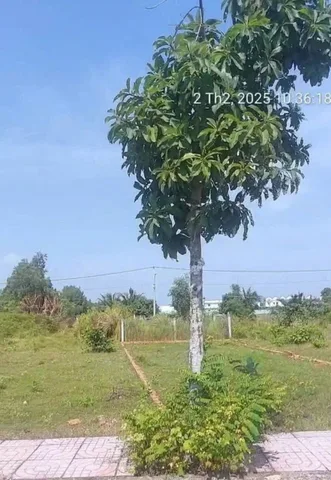 CHINH CHỦ BÁN MT100M²