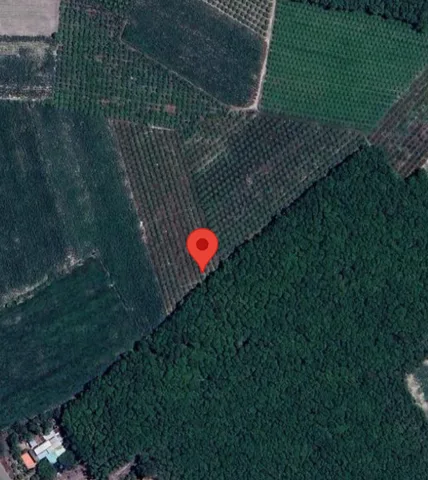 Bán đất Xã Dương Minh Châu Xã Dương Minh Châu, Tây Ninh (Mới) Xã Suối Đá, Huyện Dương Minh Châu, Tây Ninh
Xung quanh dân cư đông đẹp