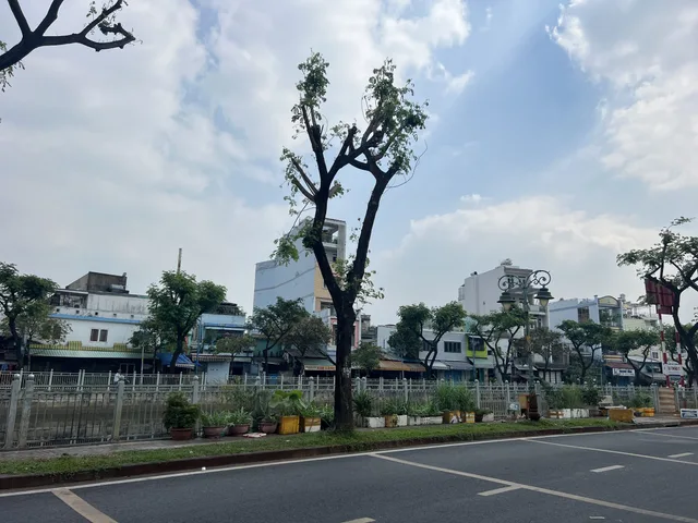 🏡 NHÀ CỰC HIẾM P2 TÂN BÌNH - SÁT TRƯỜNG SƠN- VỊ TRÍ GIỮ TÀI SẢN CỰC TỐT - 62M² NHỈNH 8TY