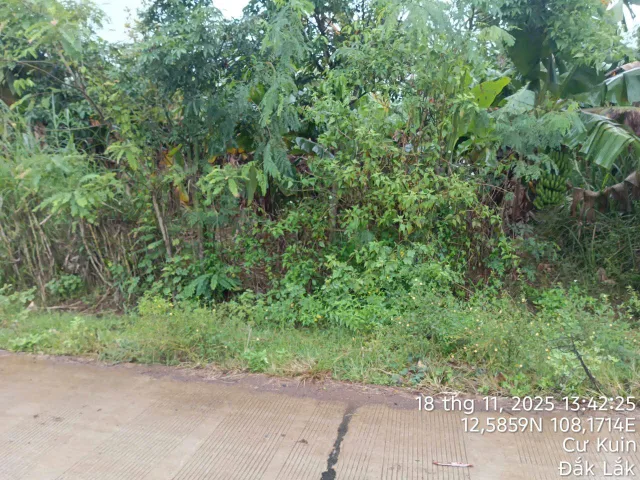Bán đất 792.9m² có sẵn 60m² thổ cư ngang 20mx40m giá 2.2 tỷ tại Xã Dray Bhăng(Ea BHốk cũ)