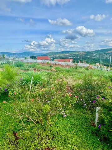 Đất thổ cư ở thị trấn Nam Ban. View Đỉnh Chóp. Nhìn toàn cảnh thị trấn. Giá 550 triệu. Trọn sổ