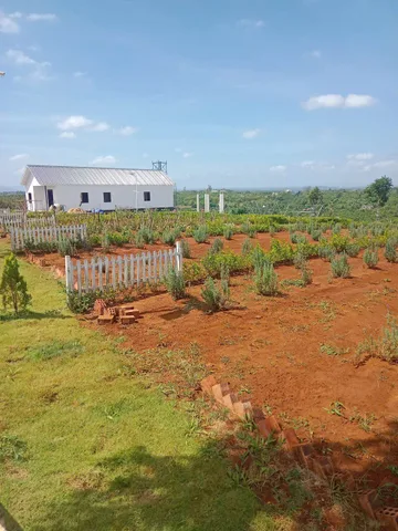 BÁN ĐẤT GIÁ TỐT – CHỈ 830 TRIỆU/NỀN  CƠ HỘI ĐẦU TƯ & AN CƯ