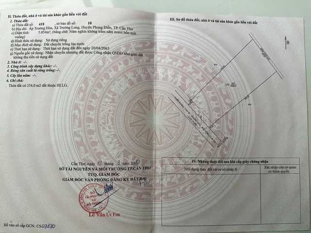 Hơn 5 Công Vườn Sầu Riêng 9 Năm Tuổi Thuộc Trường Long - Phong Điền