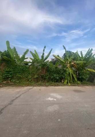 Bán đất thổ cư MT Bê tông 1/Sông Lu xã Trung An Củ Chi TPHCM, DT: 5x32m.
