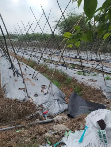 Bán đất khu dân cư mặt tiền nhựa 1/Nhuận Đức trung tâm xã Nhuận Đức Củ Chi TPHCM, DT: 51x74m.