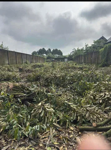 Chính Chủ Bán 300m2 Đất Tại Xã Phú Bình, Huyện Tân Phú, Đồng Nai