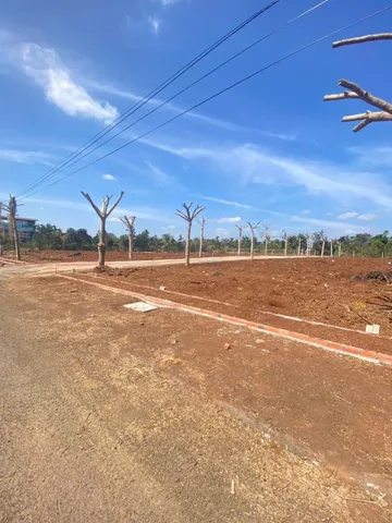💥CẦN BÁN LÔ ĐẤT  ĐƯỜNG MẬU THÂN SAU LƯNG CHỢ ĐẦU MỐI TÂN HOÀ, P. TÂN AN