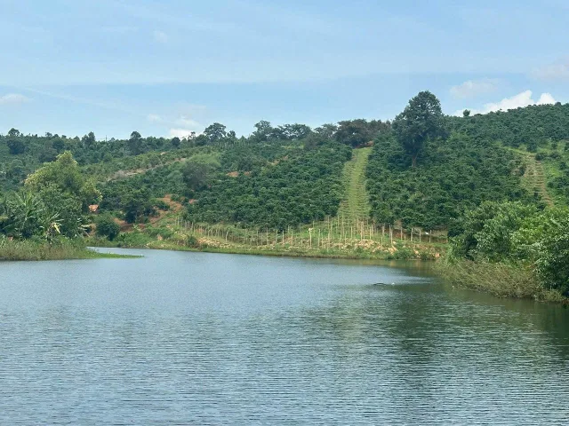 View hồ làm nhà vườn- nghỉ dưỡng, NN