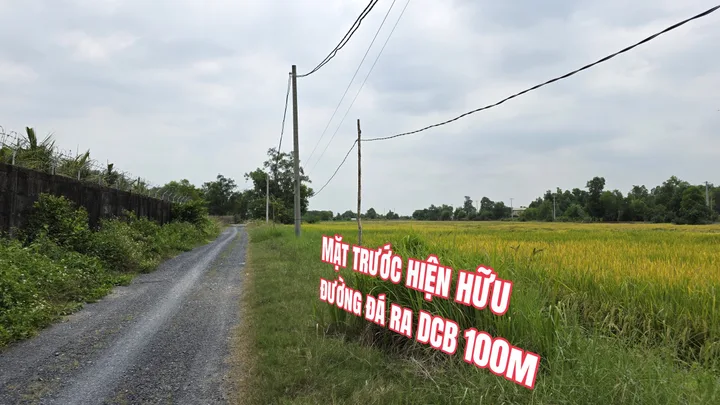 🟥 Đất 10000m² đối diện VinHomes Hóc Môn giá 60 tỷ tại Đặng Công Bỉnh Xuân Thới Sơn