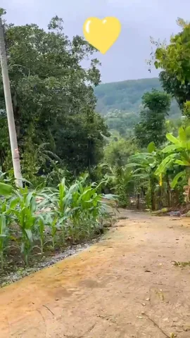 Cần tiền xoay sở