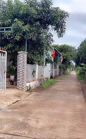 Bán đất 124.5m² có sẵn 75m² thổ cư ngang 6.0m giá 1.5 tỷ tại Phường Ea Kao
