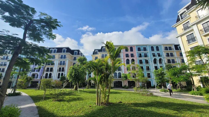 Bán nhà 88,5m² full thổ cư ngang 6,5m giá 12 tỷ tại Đường Hoàng Quốc Việt Phường Bãi Cháy