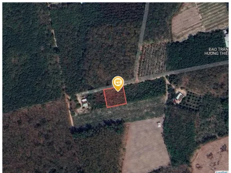 Bán đất 1446.4m² có sẵn 100m² thổ cư ngang 40m giá 4.2 tỷ tại Xã Thanh An