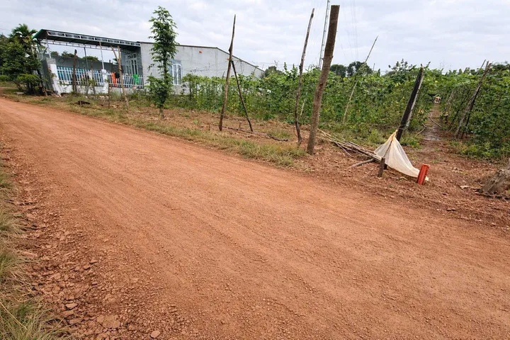 ĐẤT HẺM CẤP 1 THÔN 8 CƯÊBUR - __________________________