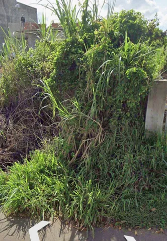 Đất mặt tiền 256m