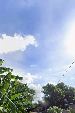 Mặt tiền đường full thổ cư
Diện tích 253m