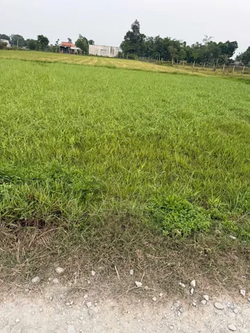 Bán đất 150m² full thổ cư ngang 5m giá 1.25 tỷ tại Xã Mỹ Hạnh
