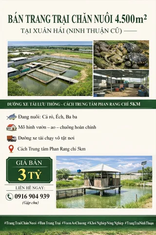 🌿 Bán trang trại chăn nuôi 4.500m² tại Xuân Hải (Ninh Thuận cũ) 🌿