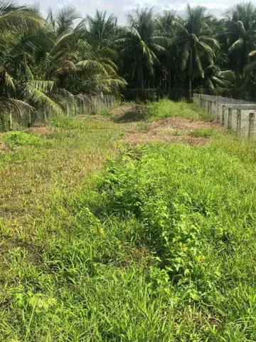 Bán đất thổ cư mặt tiền đường Ôtô xe Tải trung tâm xã Bình Ninh huyện Chợ Gạo tỉnh Tiền Giang, DT: 10x65m.