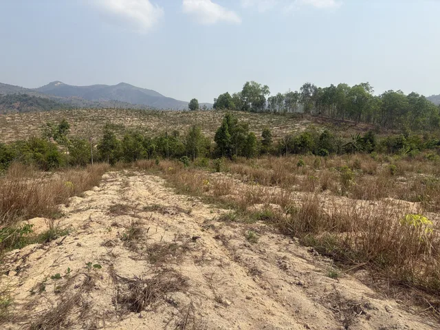 💥 10ha Đất rẫy Ia Khươl - Chư Păh - db