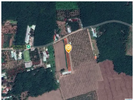 Bán đất 676m² có sẵn 100m² thổ cư ngang 10m giá 690 triệu tại Xã An Long