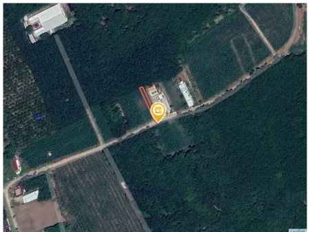 Bán đất 283.5m² có sẵn 100m² thổ cư ngang 5m tại Xã An Long