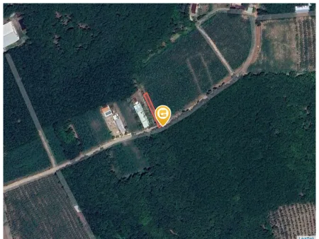 Bán đất 264.6m² có sẵn 100m² thổ cư ngang 5m tại Xã An Long