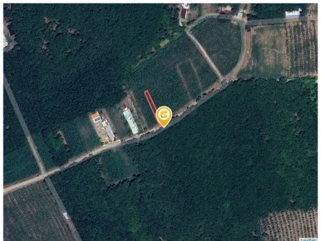 Bán đất 271.5m² có sẵn 100m² thổ cư ngang 5m tại Xã An Long