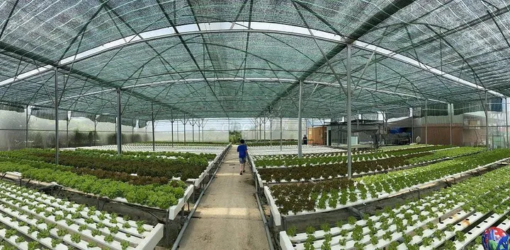 Bán đất vườn ngay Cầu Kênh 4 đường Vườn Thơm xã Bình Lợi Bình Chánh TPHCM, DT: 28x40m.