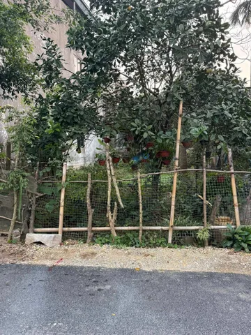 Bán 105m2 Ngay Trung Tâm TP HCM Giá chỉ 2xx Triệu