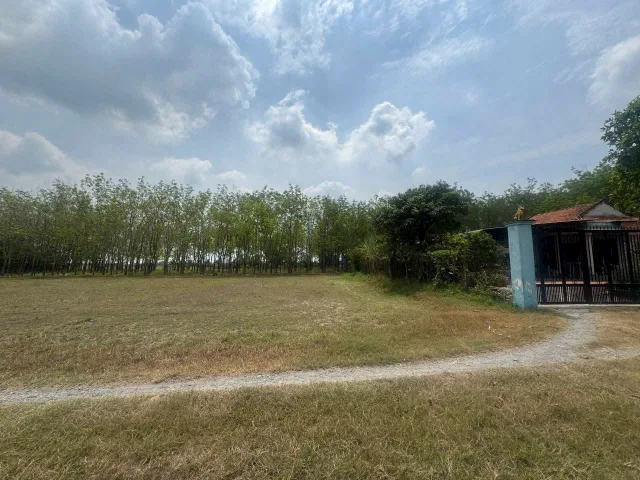 Bán đất vườn 2/ngắn đường Trung Lập trung tâm xã Trung Lập Thượng Củ Chi TPHCM, DT: 1415m2.