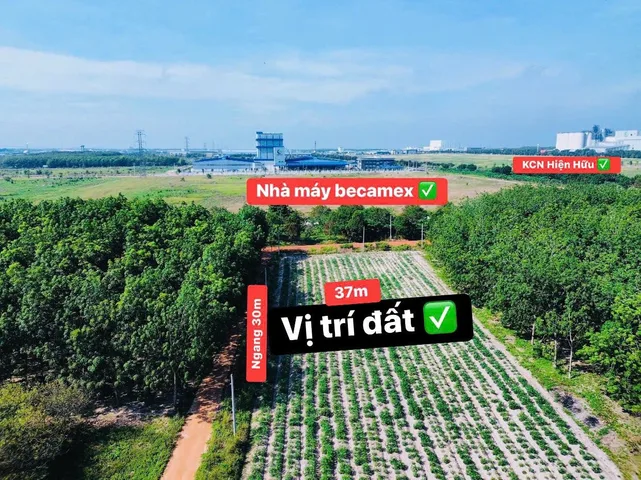 Bán đất 1124.1m² có sẵn 100m² thổ cư ngang 30m giá 2.3 tỷ tại Phường Chơn Thành