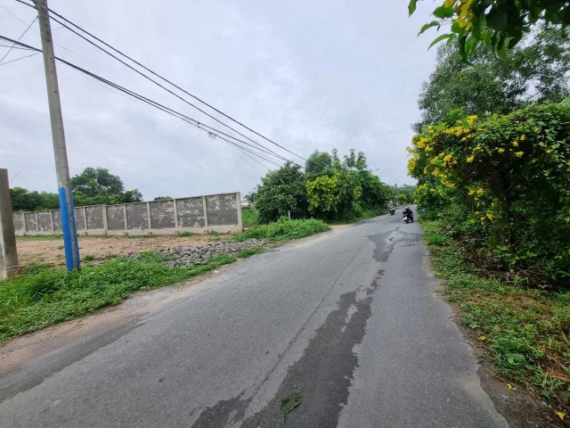 (L948) Đất mặt tiền Hồ Thị Bưng, xã Tân Thạnh Tây, dt 892m2, thổ 500m2, giá 7 tỷ 500