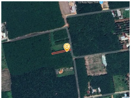 Bán đất 343m² có sẵn 100m² thổ cư ngang 6m tại Xã Phước Thành