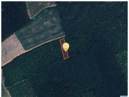 Bán đất 1117.2m² ngang 12m tại Xã Phước Thành
