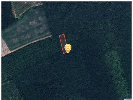 Bán đất 1100m² ngang 12m giá 650 triệu tại Xã Phước Thành