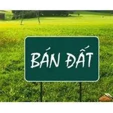 BÁN ĐẤT NAM HỒNG – ĐÔNG ANH, VỊ TRÍ ĐẸP