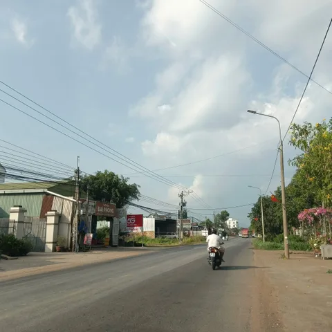 BÁN NHANH LÔ ĐẤT XUÂN TÂY CẨM MỸ(cũ) 237m2