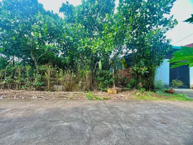 Đất vườn thổ cư 200m2 ngang 30m giá 1tỷ160 Bình Lộc Long Khánh Đồng Nai