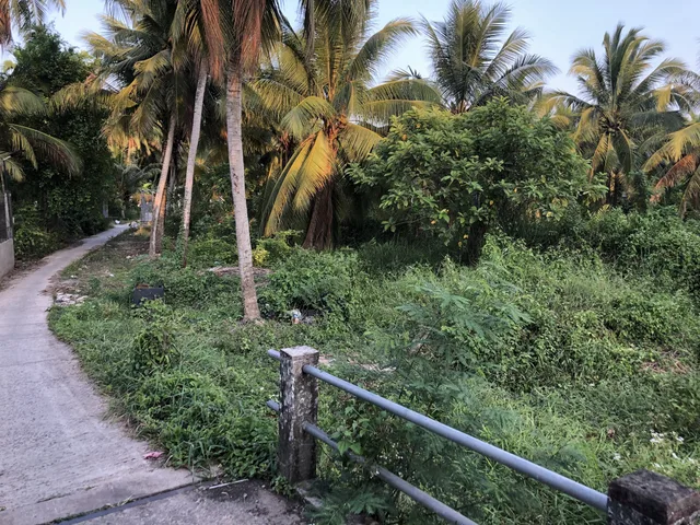Bán đất thổ cư Long Hoà B, Đạo Thạnh gần dự án đường Hùng Vương nối dài
