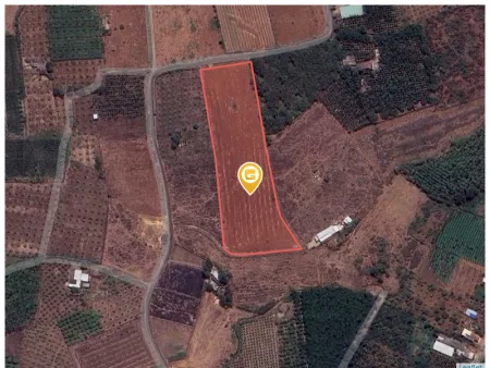 Bán đất 11000m² ngang 220m giá 10 tỷ tại Xã Xuyên Mộc