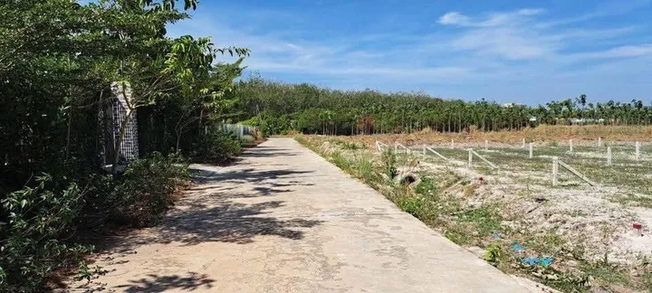 Bán đất 250m² có sẵn 50m² thổ cư ngang 5m giá 490 triệu tại Phường Minh Hưng