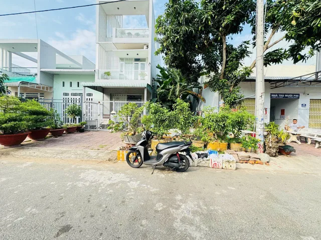 Nc: Nền đường số 31 Khu 586 - P. Hưng Phú- Cần Thơ.